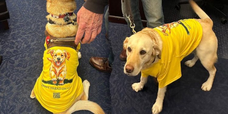 Rep Randy Fine to bring 4-legged guest Sadie to Trump’s State of the Union amid backlash over X post
