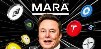 Bitcoin, ETH, XRP, DOGE, MSTR Cashtags Go Live on X Web, Musk Says Most Crypto Are Scams