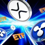 Ex-Ripple Reveals Why XRP Treasury Is Smarter Play Than XRP ETF for Investors