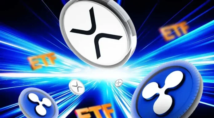 Ex-Ripple Reveals Why XRP Treasury Is Smarter Play Than XRP ETF for Investors