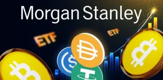 Morgan Stanley Launches MSILF Stablecoin Reserves Portfolio Fund After its Bitcoin ETF