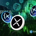 Flare Founder Reveals Why XRP Ledger Could Dominate RWA Issuance