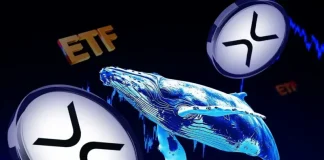 XRP Whale Accumulation and ETF Inflows Hit Multi-Month Highs, Analyst Says