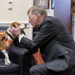 GOP targets transgender animal testing in defund demand to NIH