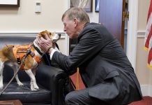 GOP targets transgender animal testing in defund demand to NIH