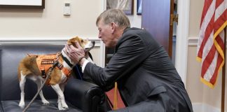 GOP targets transgender animal testing in defund demand to NIH